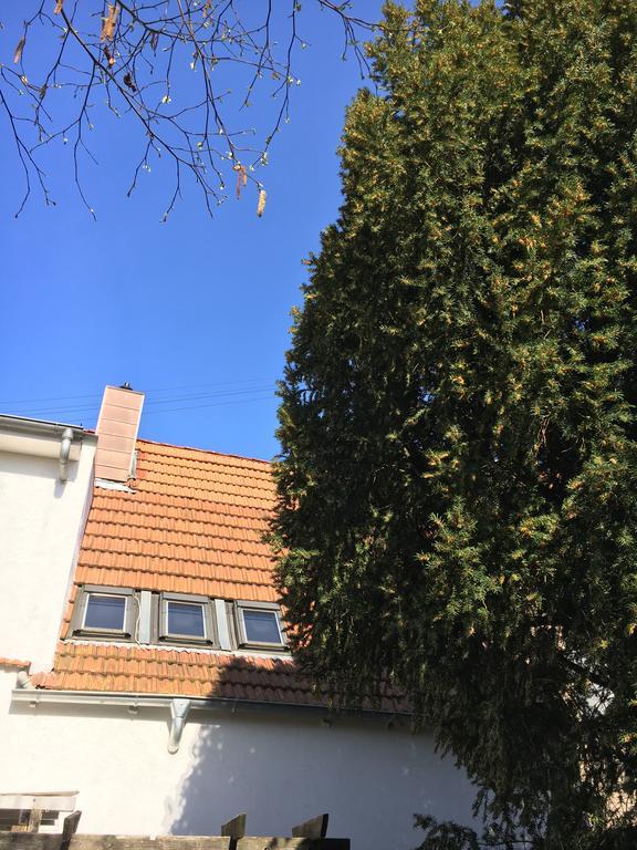 Pension Haus Baron 2 Friedrichsfeld Edingen-Neckarhausen Exteriör bild